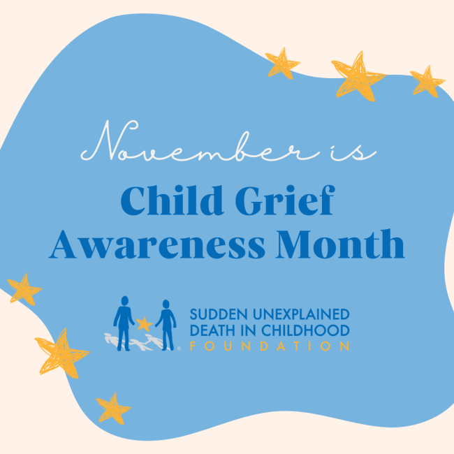 Understanding Children's Grief Navigating Sibling Loss SUDC Foundation